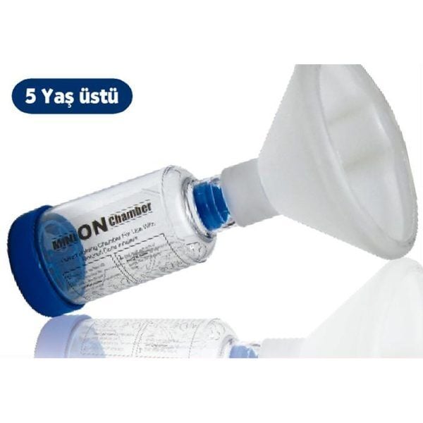 Minion Chamber Large